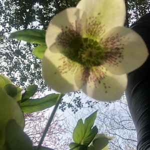 Meet your Posher, Karin